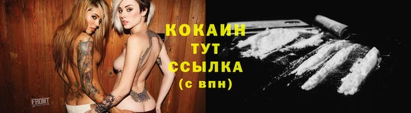 мет Козловка