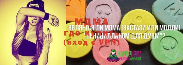 мдпв Корсаков