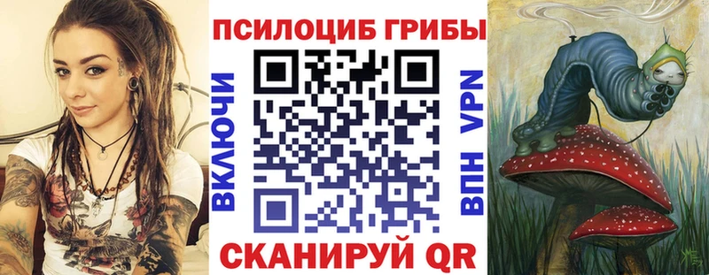 Псилоцибиновые грибы Psilocybine cubensis Называевск